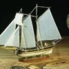 Amati Hannah houten scheepsmodel in fles 1:300