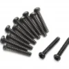 Blackzon Pan head Self Tapping Screws PBHO2*12mm – 540054
