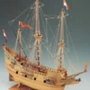 Corel Nederlands Galjoen Half Moon – SM18