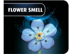 Revell Blossom Festival – RV-00630