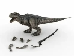 Revell 3D Puzzel Jurassic World Dominion Dinosaurus 1 – RV-00240