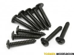 TP. Button HEAD Screw M3x19mm 10pcs – HOT66594
